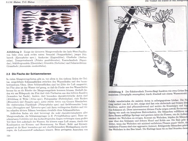 Mangroven - Lebensr�ume zwischen Land und Meer - aus dem Buch